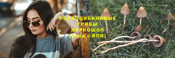 круглые Алексеевка