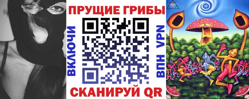 Псилоцибиновые грибы MAGIC MUSHROOMS  магазин  наркотиков  Покачи 
